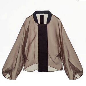 Zara Elegant Sheer Blouse XS – Brown Organza Style